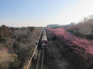 IMG_2874