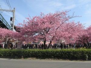 IMG_2916