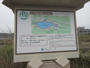 IMG_2953