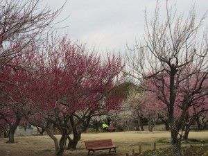 IMG_2958