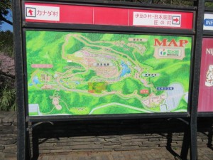 IMG_3079