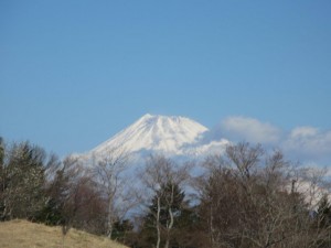 IMG_3086
