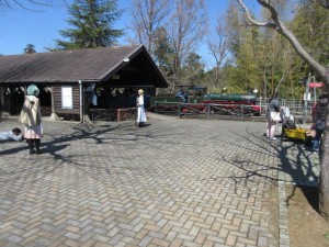 IMG_3097