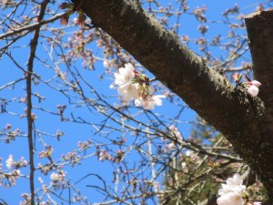 IMG_3102