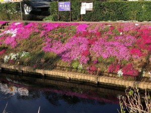 IMG_0303