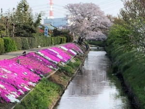 IMG_0318