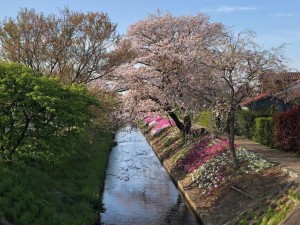 IMG_0321