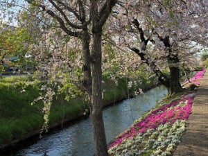 IMG_0322