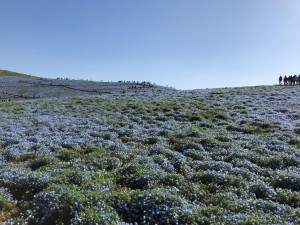 IMG_0414