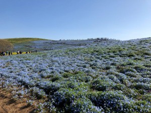 IMG_0415