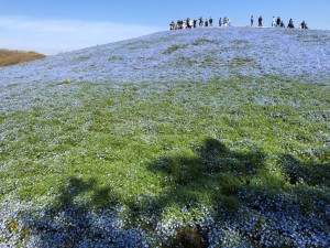 IMG_0441