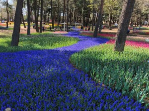 IMG_0474