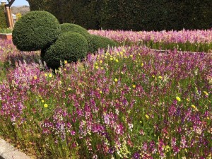 IMG_0482