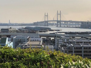 IMG_0531