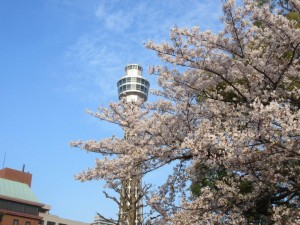 IMG_3158