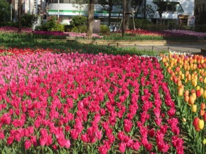 IMG_3167