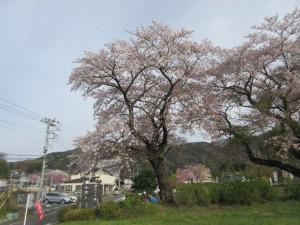 IMG_3210