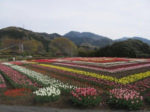 IMG_3211