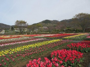 IMG_3214