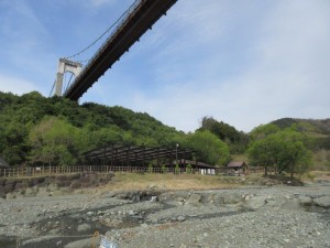 IMG_3218