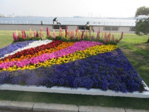 IMG_3232