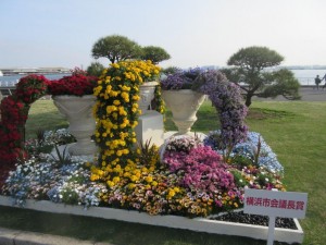 IMG_3236
