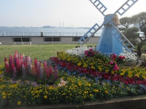 IMG_3239
