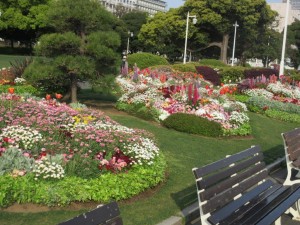 IMG_3244