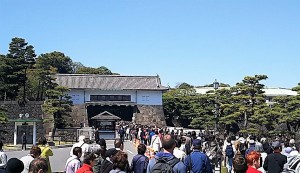2019-04-04 皇居 通り抜け (3)