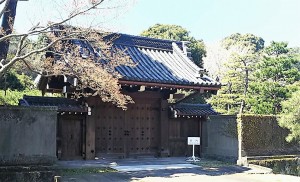 2019-04-04 皇居 通り抜け (10)