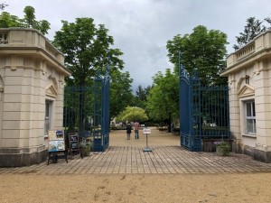 IMG_0911