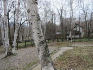 IMG_3273