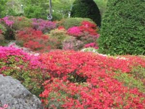 IMG_3290
