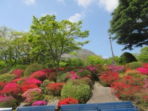 IMG_3297