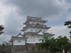 IMG_3312