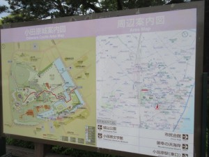 IMG_3316