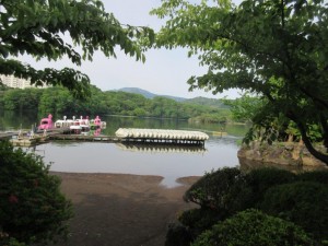 IMG_3318
