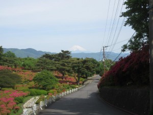 IMG_3328
