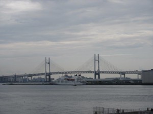 IMG_3338