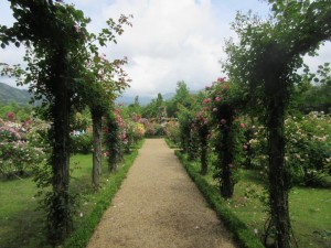 IMG_3353