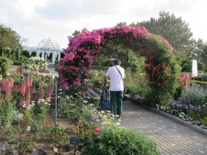 IMG_3387