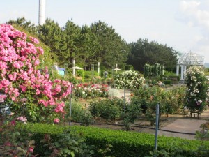 IMG_3388
