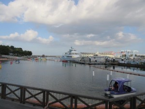 IMG_3395
