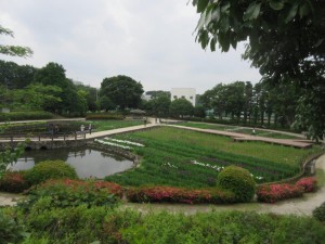 IMG_3435