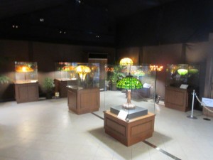 IMG_3460