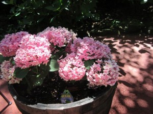 IMG_3476