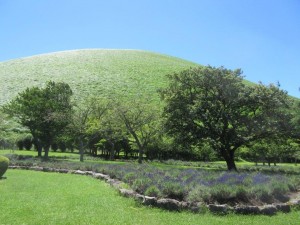 IMG_3487