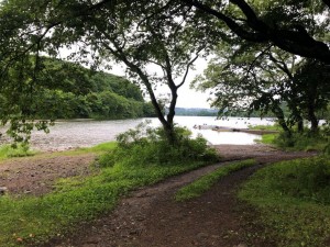 IMG_1555
