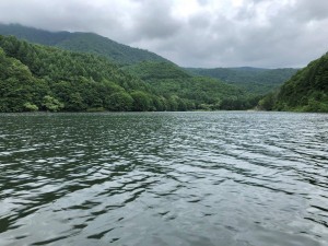 IMG_1608