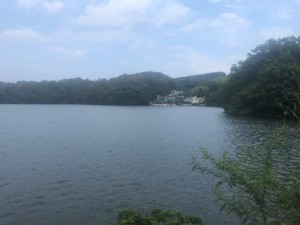 IMG_1668